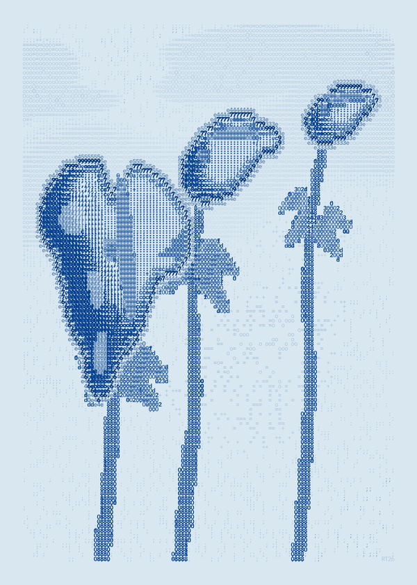 Three blue Anthurium forms at different heights with slender stems and sparse leaves on pale blue paper.